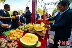 湖北最新吃瓜爆料新闻,揭秘神秘事件背后的真相
