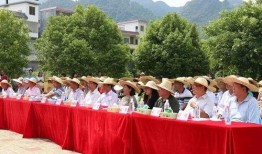 清远阳山新闻爆料,聚焦本土热点事件，揭秘幕后真相